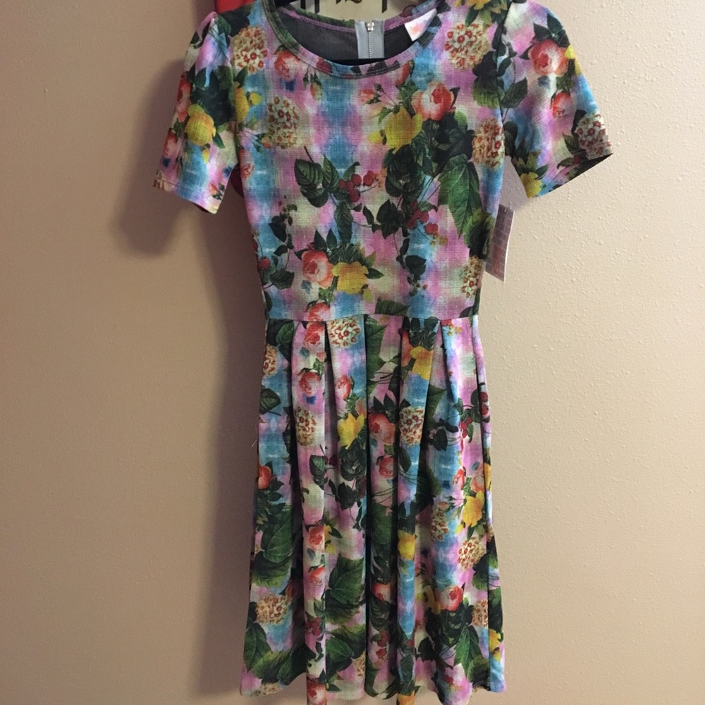 LuLaRoe Amelia Dress